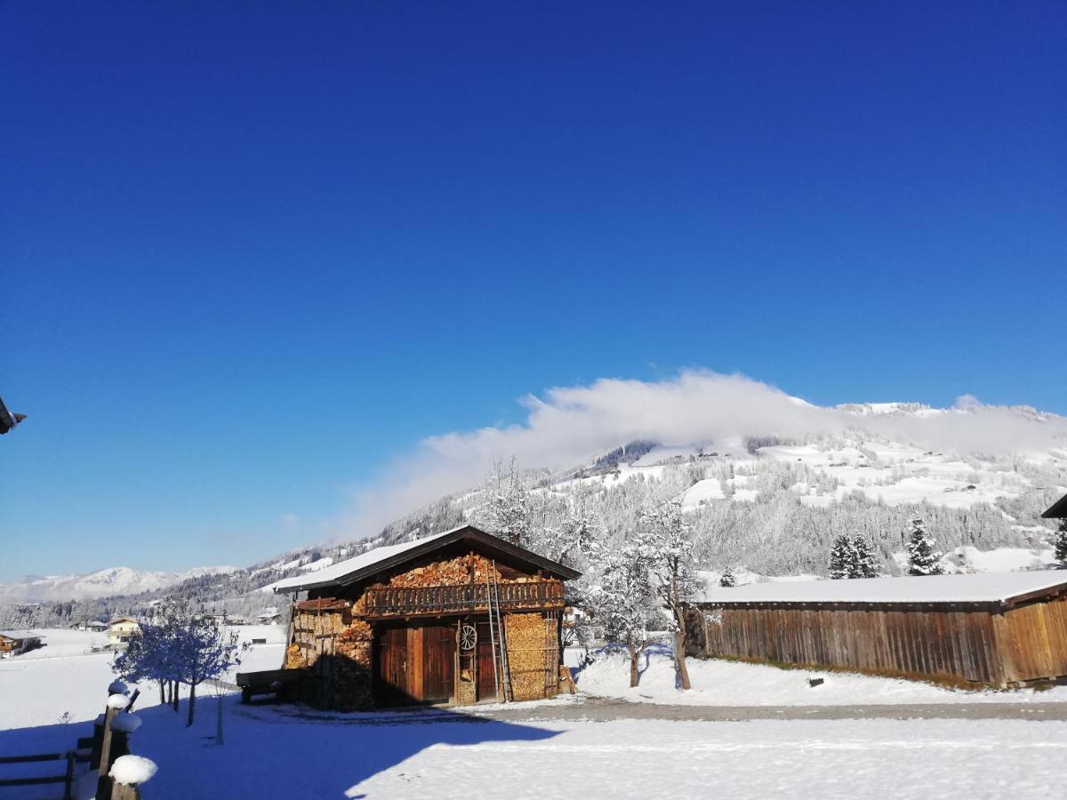 Appartement Holaus Westendorf Dış mekan fotoğraf